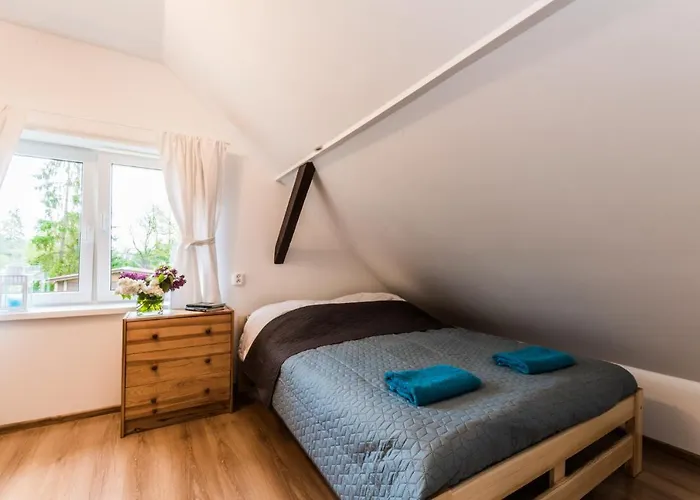 Jantar, Dom Blisko Plazy Z Sauna